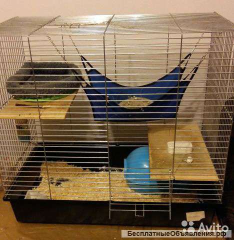 Клетка для шиншиллы с аксессуарами