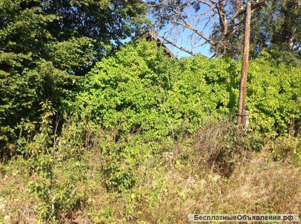 Земельный участок 53 сотки