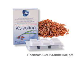Колестина (Kolestina)