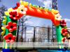 Стационарные Надувные Шары