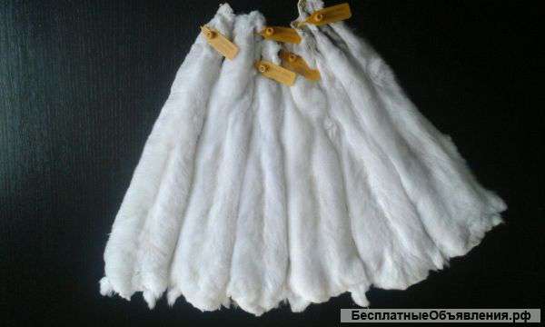 Шкурки шиншилл