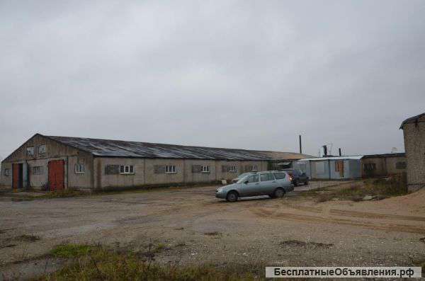 Производство, Егорьевский р-н., д. Тимохино