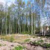 Земельный участок 20 соток ИЖС в Вистино
