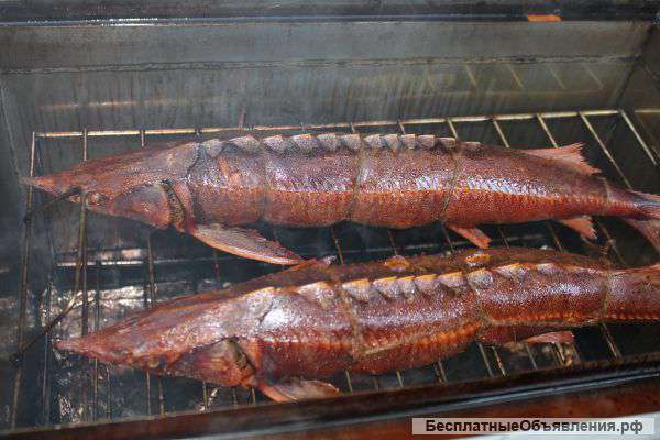 Мясные и рыбные деликатесы горячего копчения