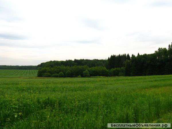 Участок 20 Га. Минское шоссе 70 км.