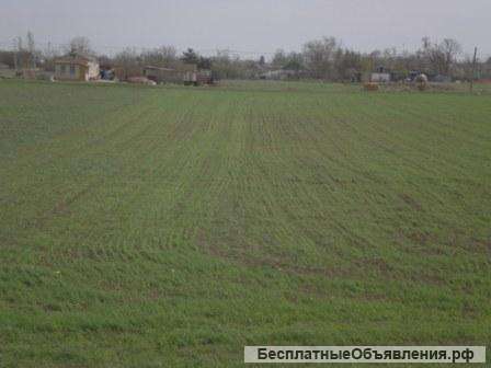 В Крымy участок 24 сотки