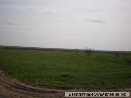 В Крыму участок 32 сотки