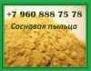 Пыльца сосны полезные свойства
