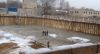 Требуютсятразнорабочие