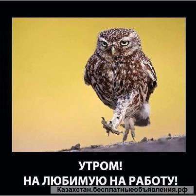 Ремонт для вас