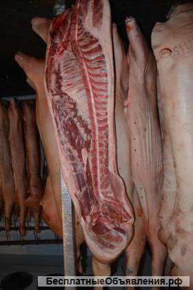 Свинина в полутушах с распилом