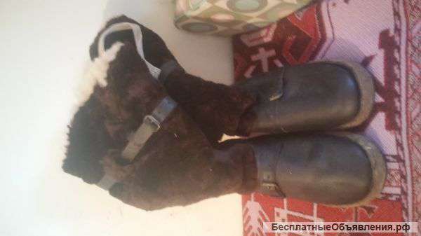 Унты