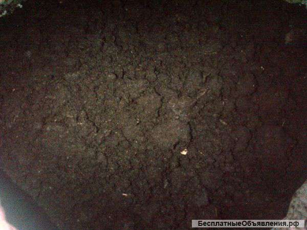 Сапропель в мешках 50л