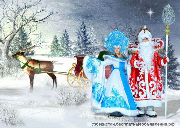 Дед Мороз и Снегурочка у вас в гостях
