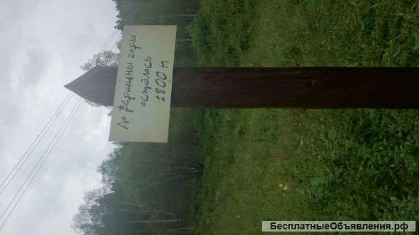 Доставим частичку духа Горного Алтая