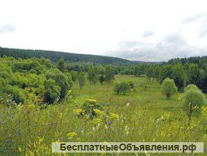 Участок в Тарусской поляне