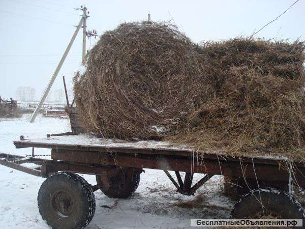 Сено