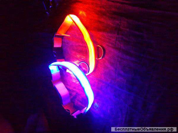 LED ошейники для собак светящиеся