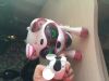 Игрушка робот кошка