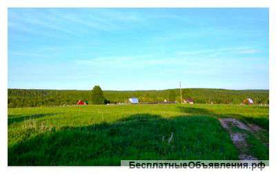 Участок 12 соток