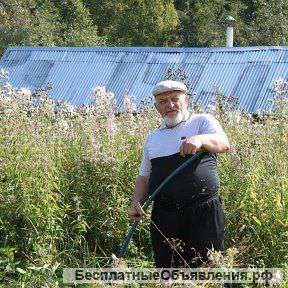 Заказать стихи