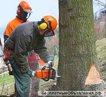 Спил деревьев.Вывоз строительного мусора