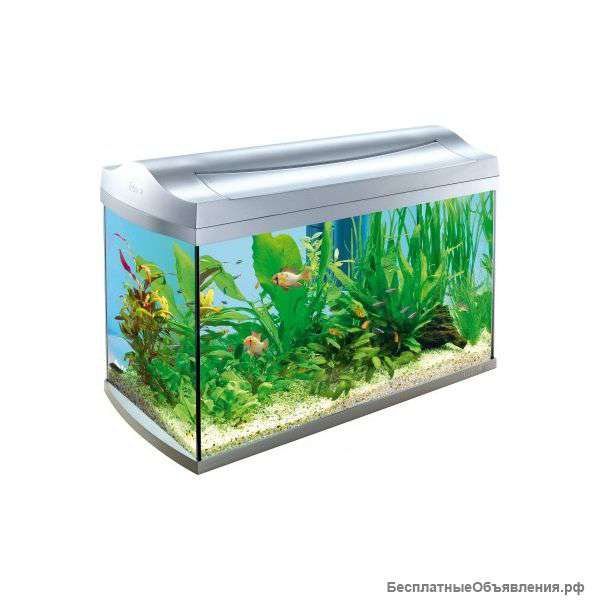 Аквариум Tetra: Германия