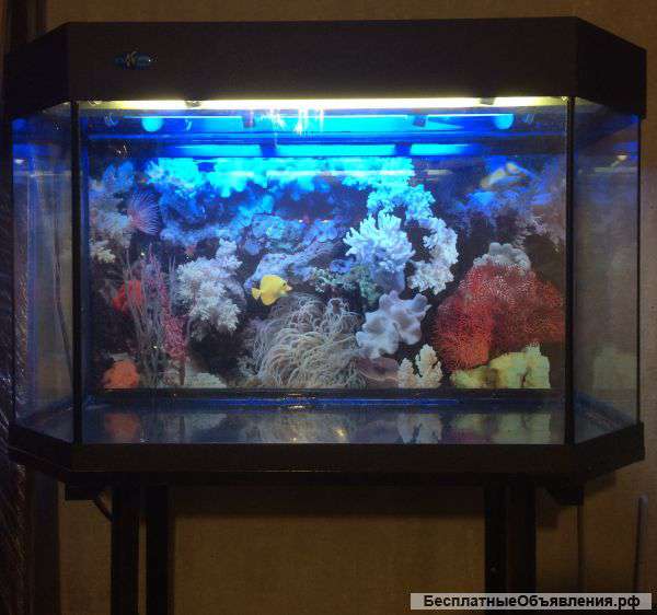 Аквариум Биодизайн 140 л