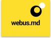 Создание премиум-сайтов и интернет магазинов. SEO продвижение.