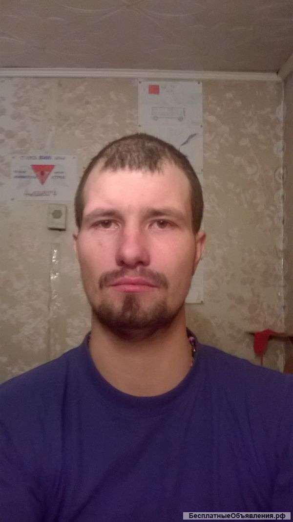 Работа любая по строительству