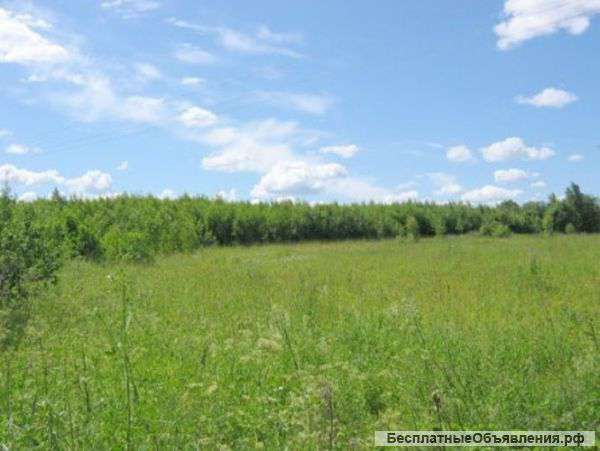Участок 8 соток в поселке Старая искань