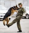 ЗКС, Окд для собак всех пород в московском районе
