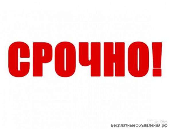 Обычный секретарь