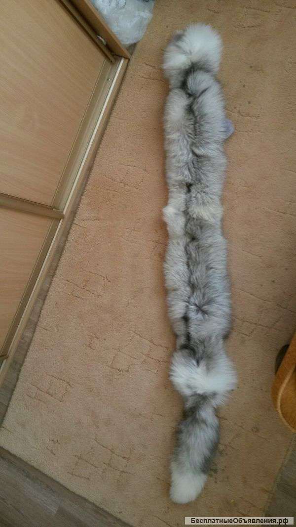 Песец