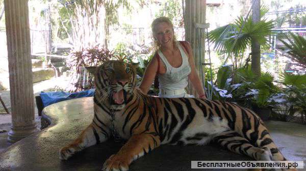 Английский язык