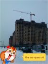 Разные рабочые