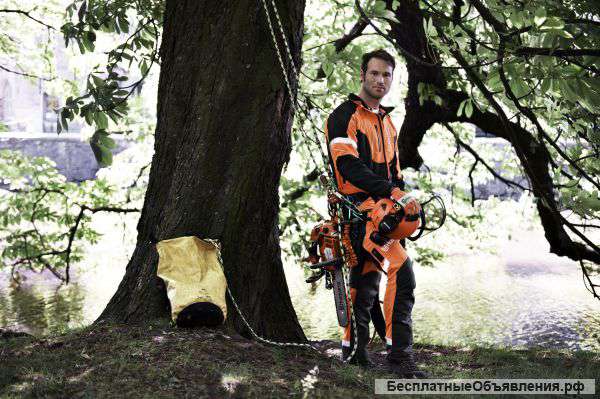 Спил деревьев, обрезка деревьев