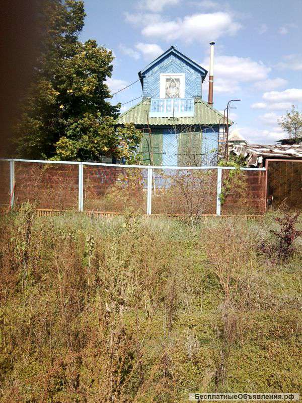 Дачный участок в Воронежской обл. на берегу Песковатского озера