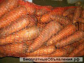 Морковь