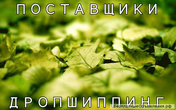 Поставщики