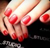 Маникюр,педикюр shellac