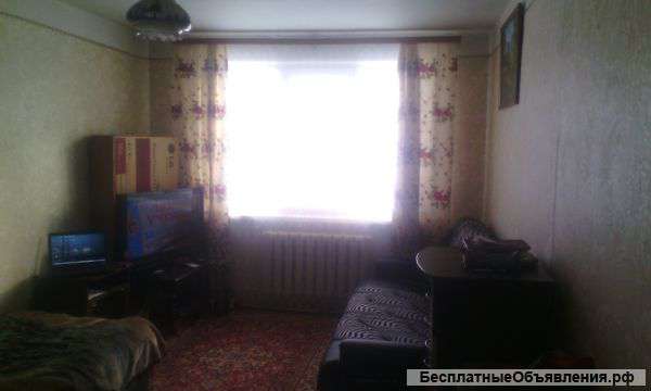Квартирка в Павловичах