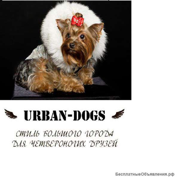 Одежда для собак всех пород оптом и в розницу