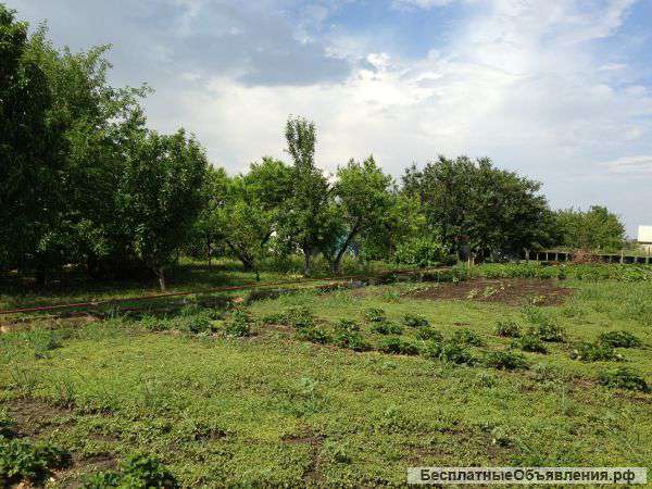 Земельный участок