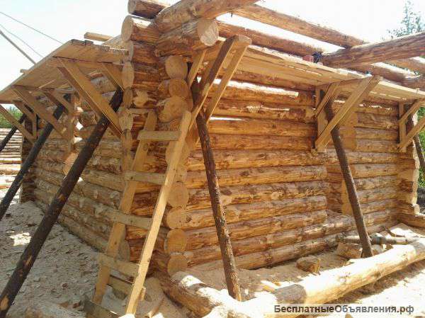 Сруб сосновый 10х10