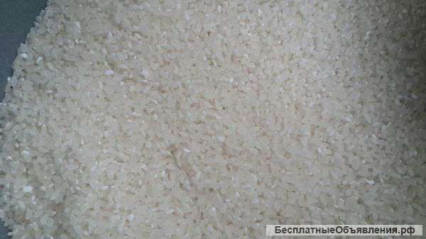 Рис Гост и ТУ