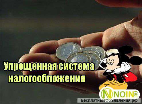 Веду бухгалтерский учет