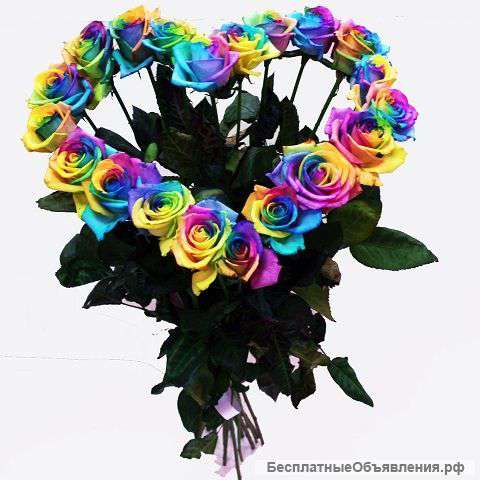 "Радужное сердце", розы из Голландии