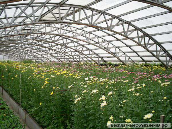 Лестницы, навесы, емкости, производственные линии, Ангары