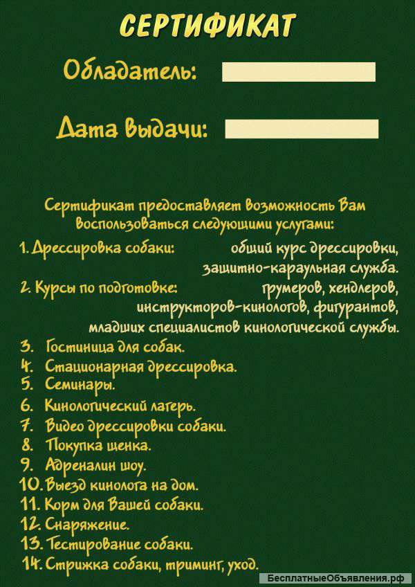 Лучший подарок